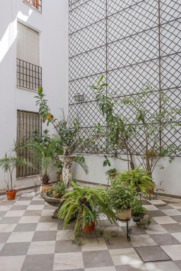 סביליה Fantastico Duplex 2 Terrazas 3 Habitaciones 2 Banos מראה חיצוני תמונה
